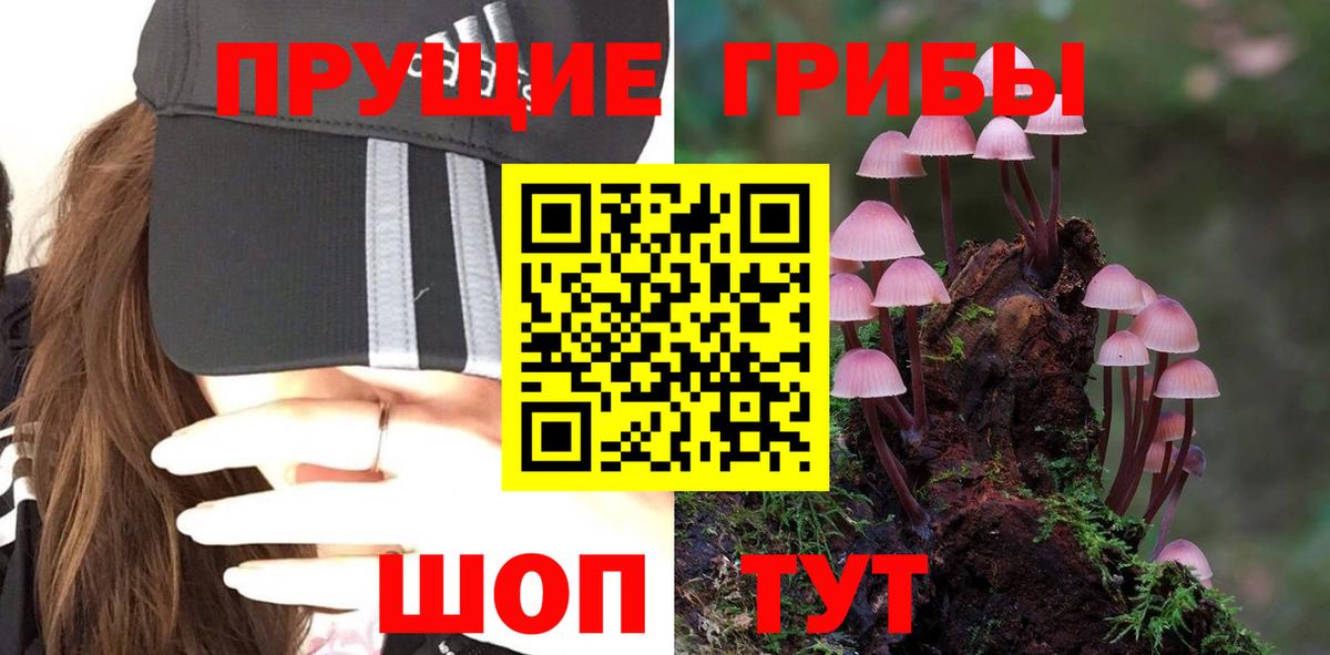 Псилоцибиновые грибы мицелий Советск